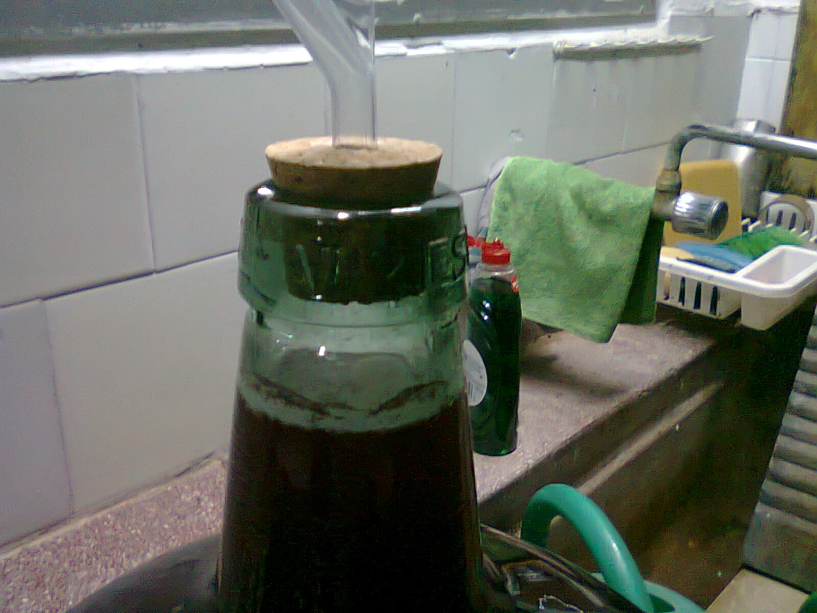 Micelio en garrafa cristal